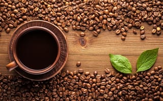 Картинка деревья, стол, напиток, plate, hot, чашка, cup, кофе