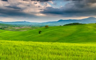 Картинка Италия, поля, природа, небо, Тоскана, облака, деревья