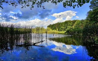 Картинка природа, пейзаж, озеро