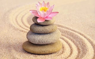 Картинка zen, песок, flower, sand, спа, stones, spa, pink, цветок, камни, лотос