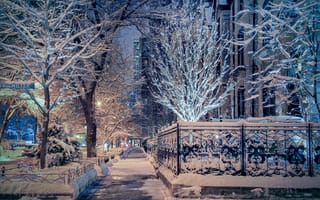 Картинка Иллинойс, Чикаго, снег, деревья, Chicago, зима, улица, Illinois