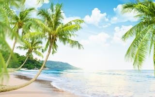 Картинка песок, море, пляж, океан, beach, природа, sea, summer