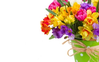 Обои spring, нарциссы, flowers, colorful, bouquet