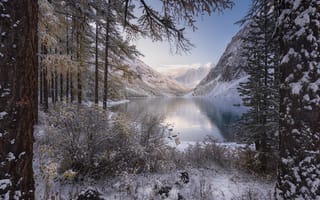 Картинка лес, зима, горы, кусты, деревья, озеро, снег
