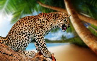 Картинка леопард, пальма, кошка, пасть