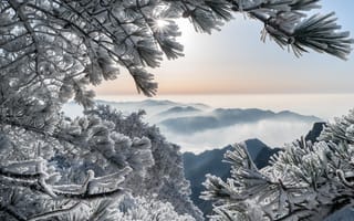 Картинка ветки, иней, Горы Хуаншань, Китай, горы, сосны, China, Huangshan Mountains, зима