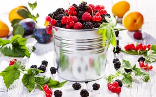 Картинка fruits, ягоды, bucket, berries, смородина, фрукты, сливы, абрикосы, малина, ежевика