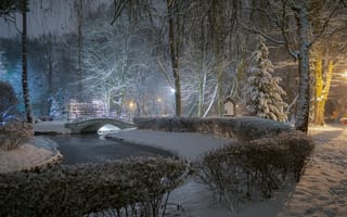 Картинка пруд, мост, деревья, снег, кусты, парк, зима