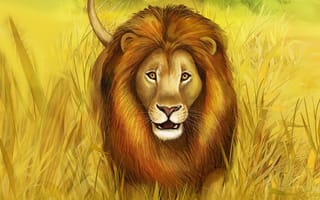 Картинка лев, большая кошка, трава, хищник, грива