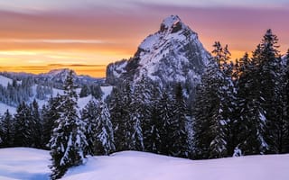 Картинка зима, снег, лес, горы, деревья