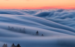 Картинка Калифорния, утро, небо, туман