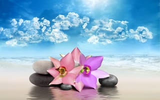 Картинка спа, цветы, море, Spa, nature, небо, rocks, sea, flowers, камни, sky, природа