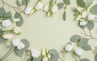 Картинка цветы, эустома