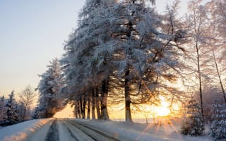 Картинка зима, снег, утро, дорога