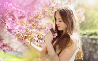Картинка девушка, brown hair, шатенка, flowers, girl, весна, цветы, spring