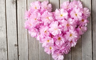 Картинка floral, pink, цветы, сердце, love, heart