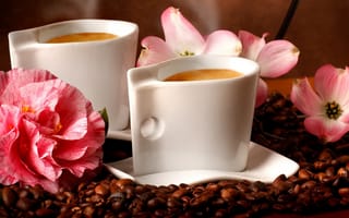Обои кофе, flowers, кофейные зерна, аромат, coffee, aroma coffee beans, цветы