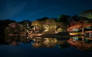 Картинка небо, вода, дизайн, деревья, пруд, ночь, парк, огни