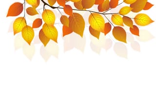 Обои веточка, white, leaves, осень, autumn, twigs, листья, белый