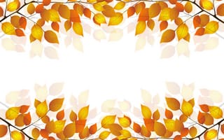 Картинка веточка, осень, листья, белый
