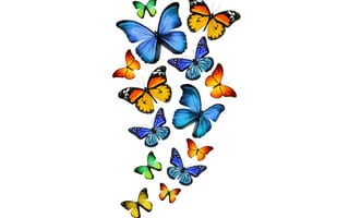 Картинка желтые, green, butterflies, 3D, бабочки, синие, зеленые, blue, yellow