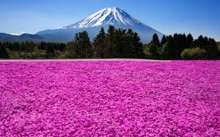Картинка Japan, гора, Япония, природа, вулкан, Фуджи