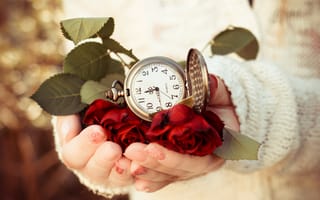 Картинка часы, розы, свитер, циферблат, веты, время, руки, листья