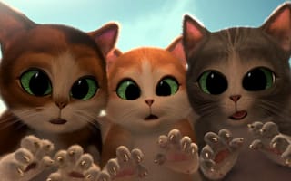 Картинка Puss in Boots: The Three Diablos, cats, kittens, сказка, когти, удивление, котята, Кот в сапогах: Три чертенка, зеленые глаза, коты, мультфильм, короткометражка