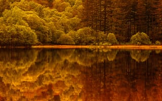 Картинка озеро, отражение, лес