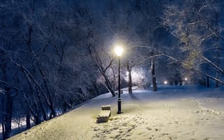 Картинка зима, вечер, деревья, парк, фонарь