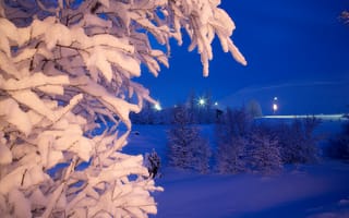 Картинка ночь, зима, снег, деревья, парк