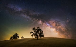 Картинка поле, небо, звезды, млечный путь, дерево, ночь, деревья