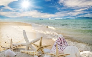 Картинка seashells, солнце, sky, песок, пляж, sunshine, sand, ракушки, sea, звезды, summer, море, starfishes, beach