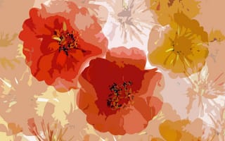 Картинка текстура, цветы, розы