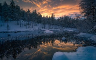 Картинка закат, Норвегия, река, деревья, снег, Norway, зима, Ringerike, лес, Рингерике