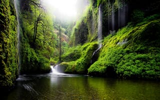 Картинка США, зелень, весна, природа, листья, река, штат Орегон, водопады, вода, деревья