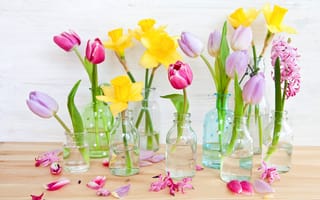 Картинка цветы, бутылочки, желтые, тюльпаны, нарциссы, розовые, лепестки