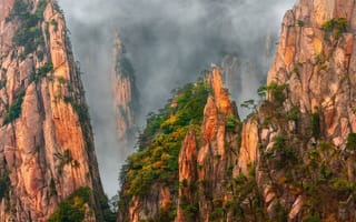 Картинка деревья, гранитные скалы, жёлтые горы, сосны, 黄山, горы, Хуаншань, провинция Аньхой, дымка, скалы, Китай, туман