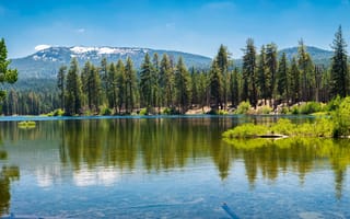Картинка зелень, лес, США, озеро, деревья, солнце, горы, небо