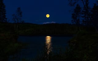 Картинка ночь, лес, полнолуние, Норвегия, лунная дорожка, река