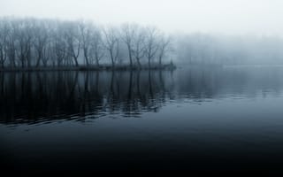 Картинка река, берег, лес, утро, туман, чёрно-белое, прохлада