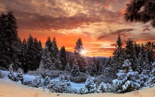 Картинка облака, лес, деревья, зарево, небо, снег, Канада, горы, зима