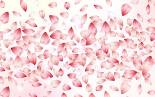 Картинка текстура, blossom, petal, лепестки, leaves, розовый, cherry