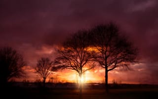 Картинка закат, лучи, деревья