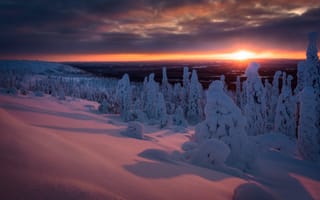 Картинка зима, закат, снег, сугробы, лес, Финляндия, деревья