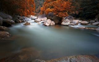 Картинка природа, камни, осень, река, лес
