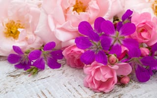 Картинка цветы, розовые, bud, wood, flowers, pink, бутоны