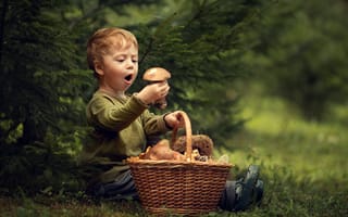 Картинка мальчик, ель, корзина, удивление, грибы, восторг