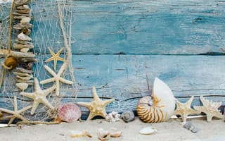 Картинка seashells, песок, звезды, пляж, marine, starfishes, beach, sand, ракушки, wood
