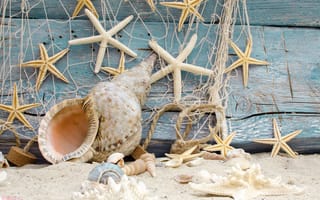 Картинка seashells, marine, beach, песок, пляж, starfishes, wood, sand, ракушки, звезды